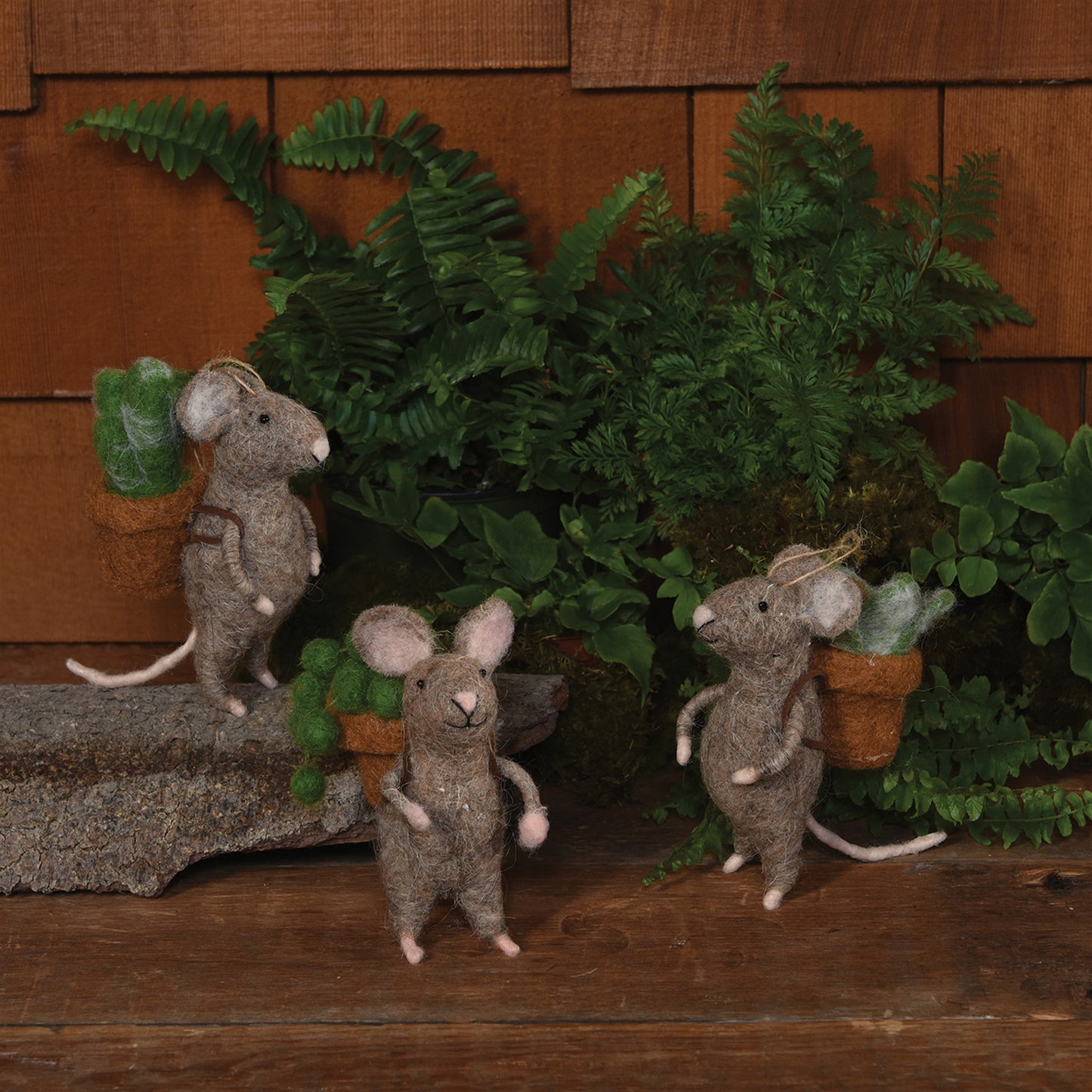 Succulent Mouse Ornament - 3 Styles