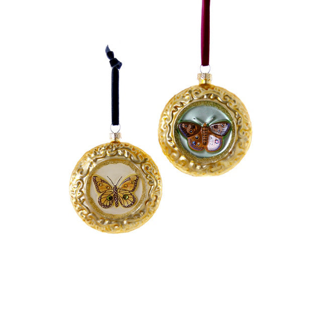 FRAMED BUTTERFLY ORNAMENT - 2 STYLES