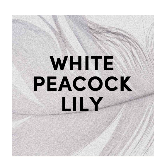 *Discontinued Scent* - White Peacock Lily - Eau de Parfum - 50mL