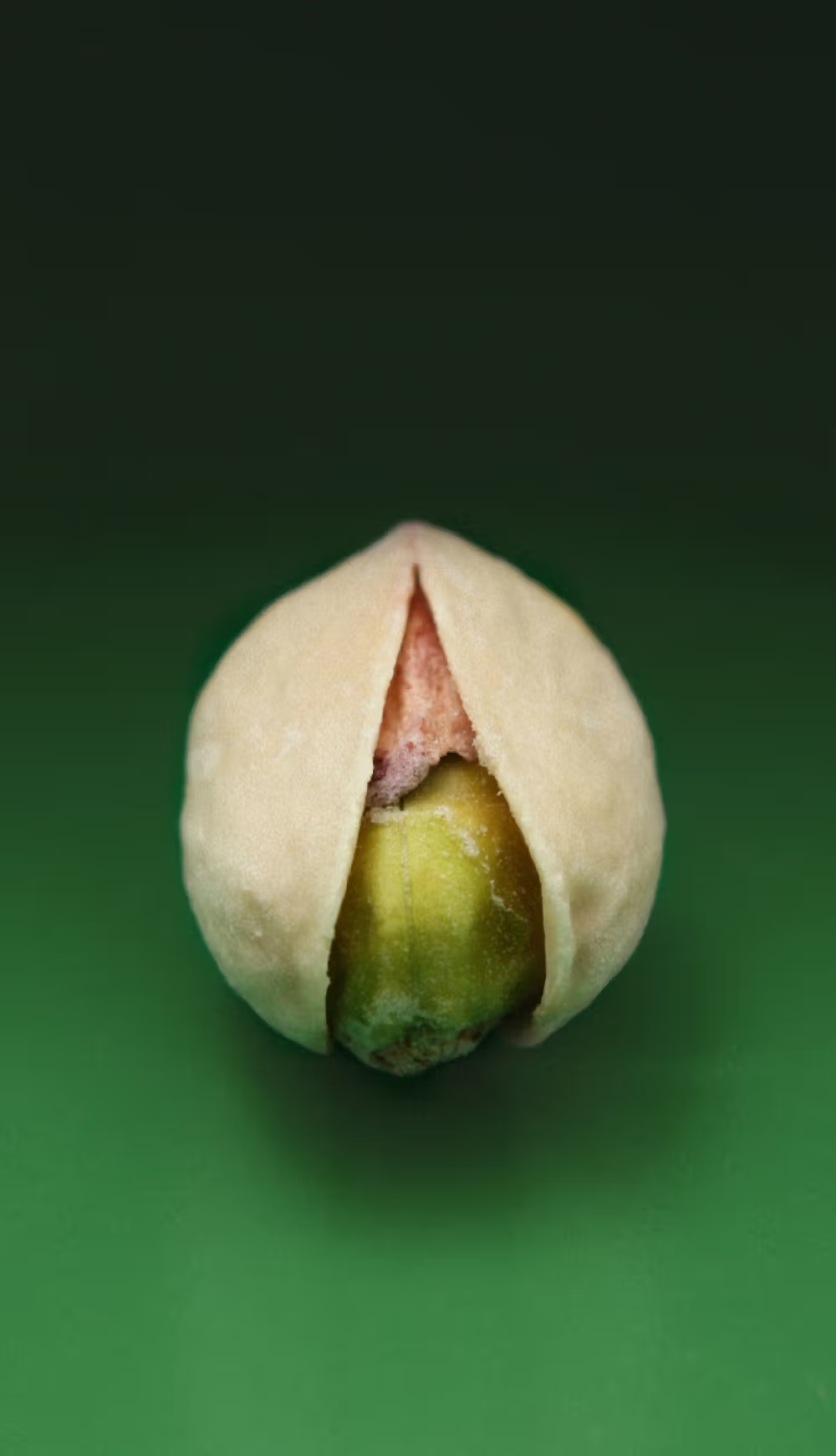 Pistachio - Eau De Parfum - 50 mL