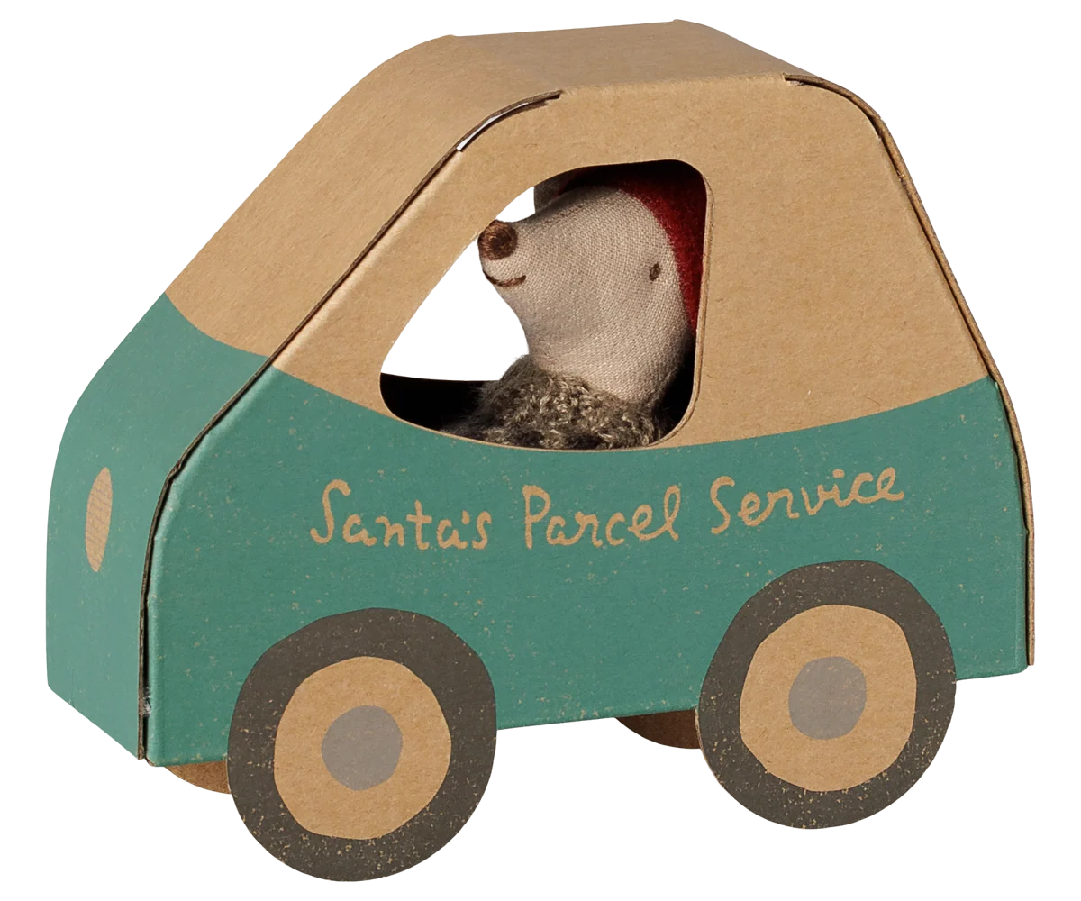 Christmas Little Brother in Car Box