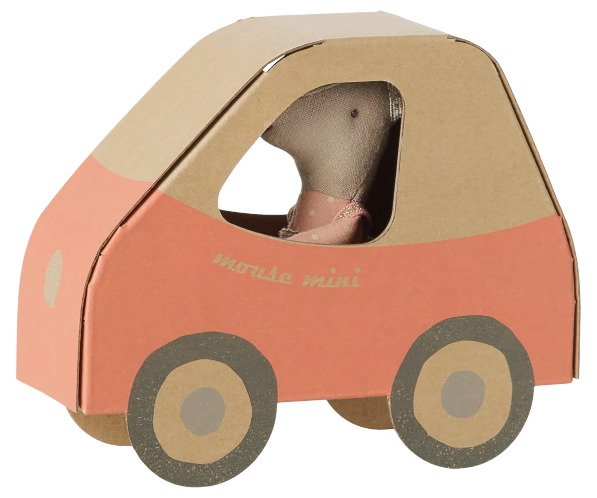 Driver Little Sister in Car Box