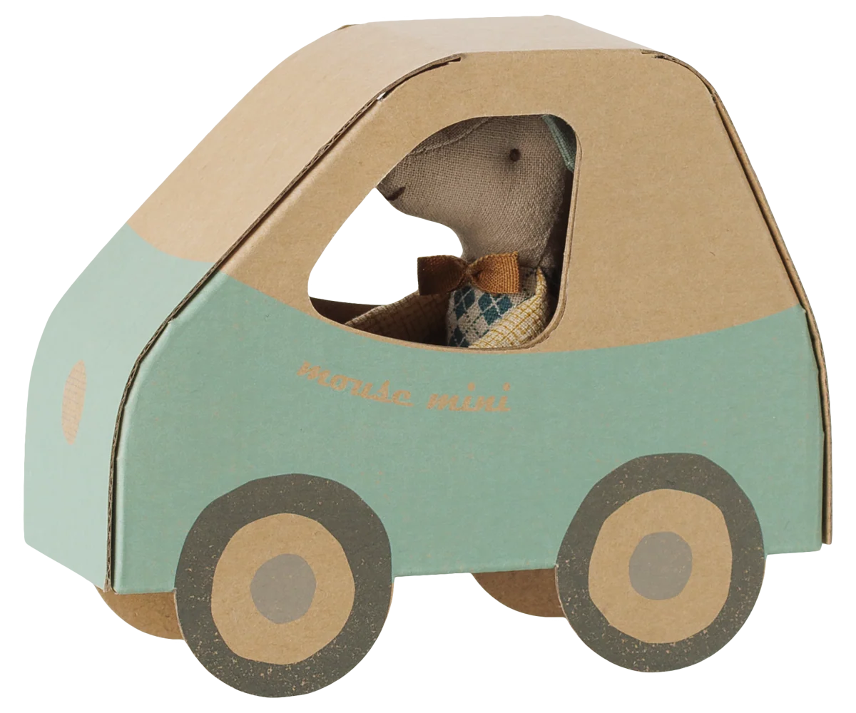 Driver Little Brother in Car Box