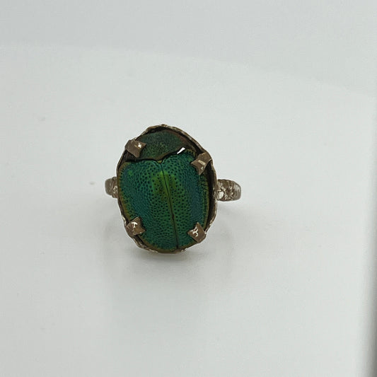 Antique Art Nouveau Scarab Ring - Sz. 6.5