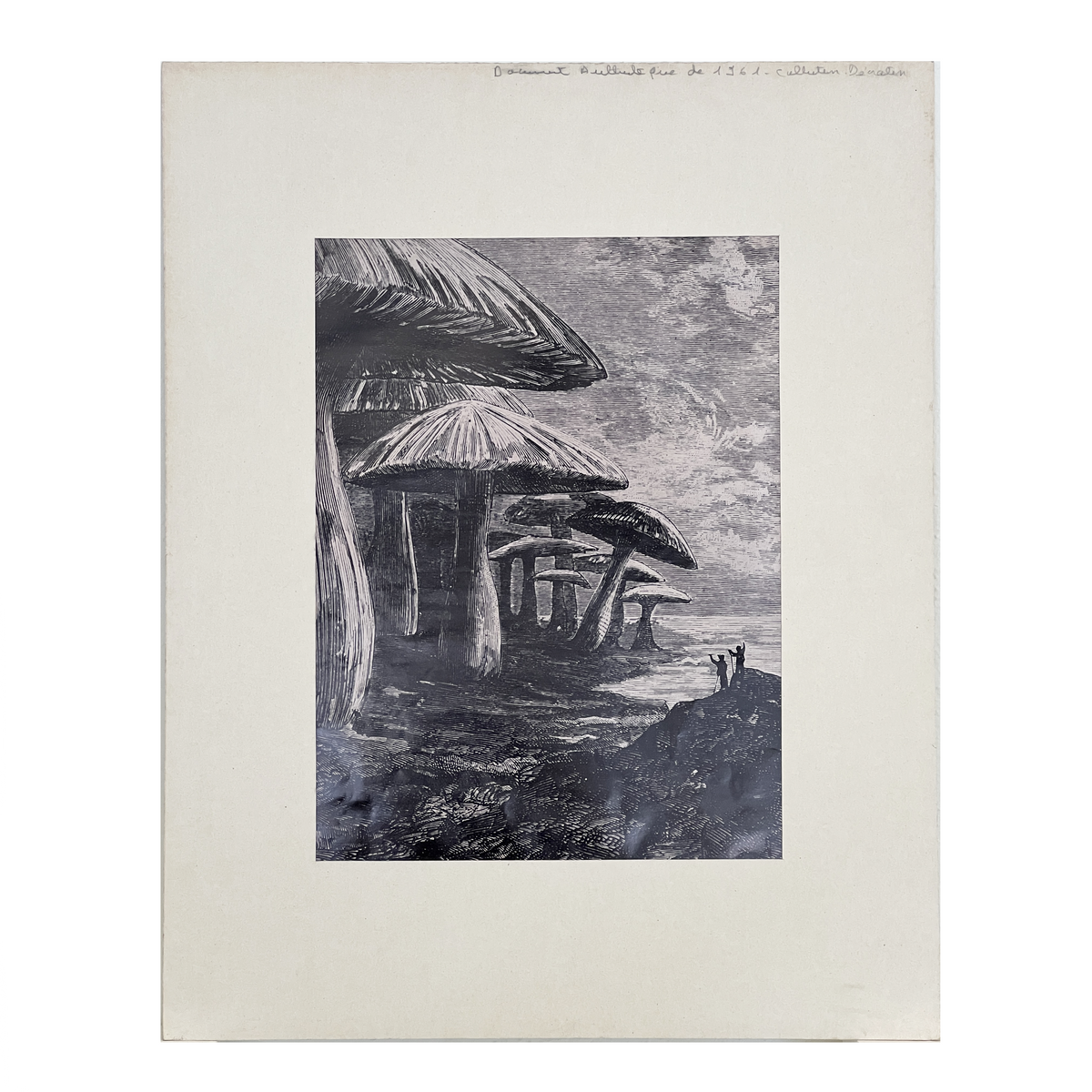 Vintage Giant Mushroom Forest Print