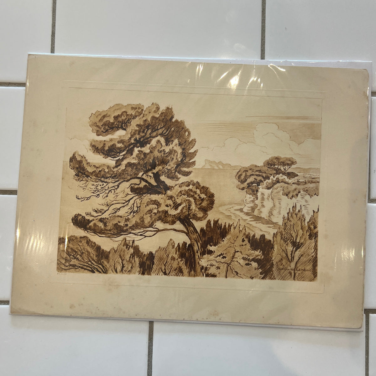 Antique Sepia "Pine Tree by the Sea" Print